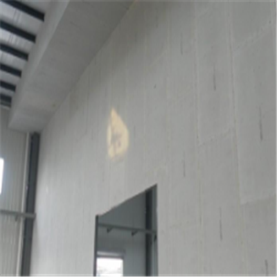 宣州宁波ALC板|EPS加气板隔墙与混凝土整浇联接的实验研讨